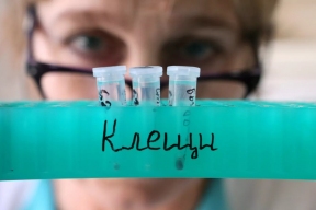 Врач Позднякова: Все чаще болезни, переносимые клещами, вызывают тяжелые последствия