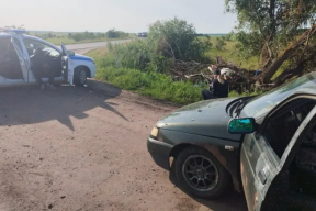 В Мордовии задержали пьяного угонщика после аварии